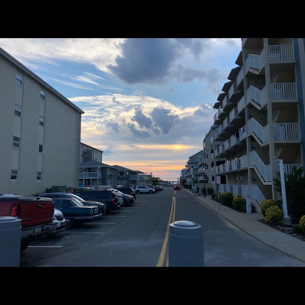 Meet your Posher, Mia